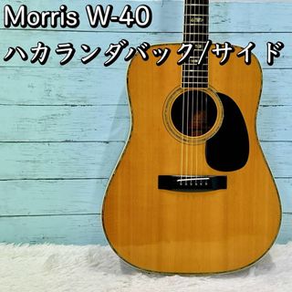 Morris W-40 ハカランダバック/サイド アコースティックギター アコギ(アコースティックギター)