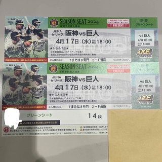 ハンシンタイガース(阪神タイガース)の2024年4月17日（水）阪神対巨人　甲子園　グリーンシート14段目(野球)