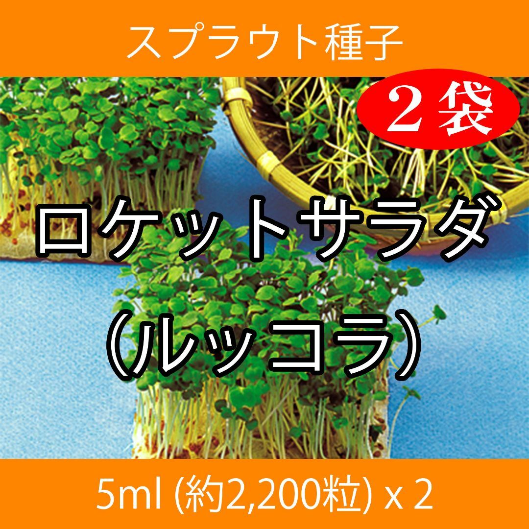 スプラウト種子 S-04 ロケットサラダ（ルッコラ） 5ml x 2袋 食品/飲料/酒の食品(野菜)の商品写真