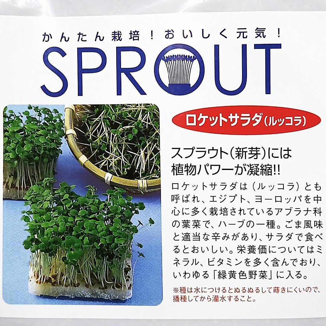 スプラウト種子 S-04 ロケットサラダ（ルッコラ） 5ml x 2袋 食品/飲料/酒の食品(野菜)の商品写真