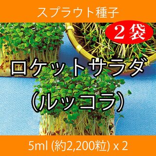スプラウト種子 S-04 ロケットサラダ（ルッコラ） 5ml x 2袋(野菜)