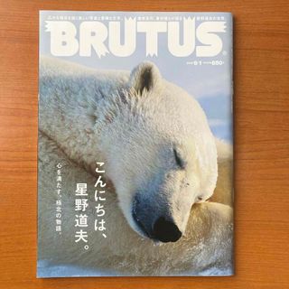 BRUTUS 星野道夫(その他)