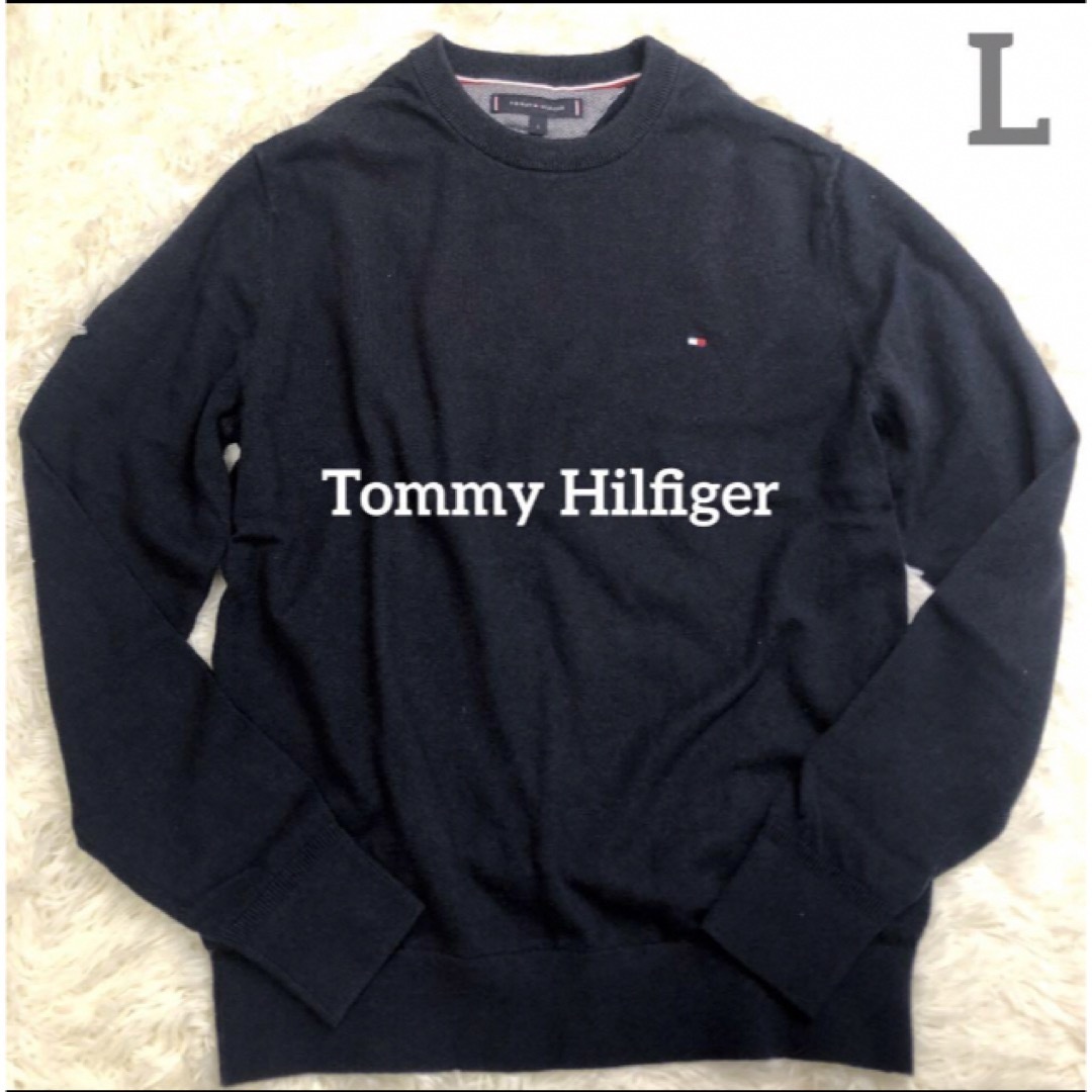 TOMMY HILFIGER(トミーヒルフィガー)のトミーヒルフィガー美品⭐︎23ssピマコットンカシミア　クルーネックセーター　L メンズのトップス(ニット/セーター)の商品写真