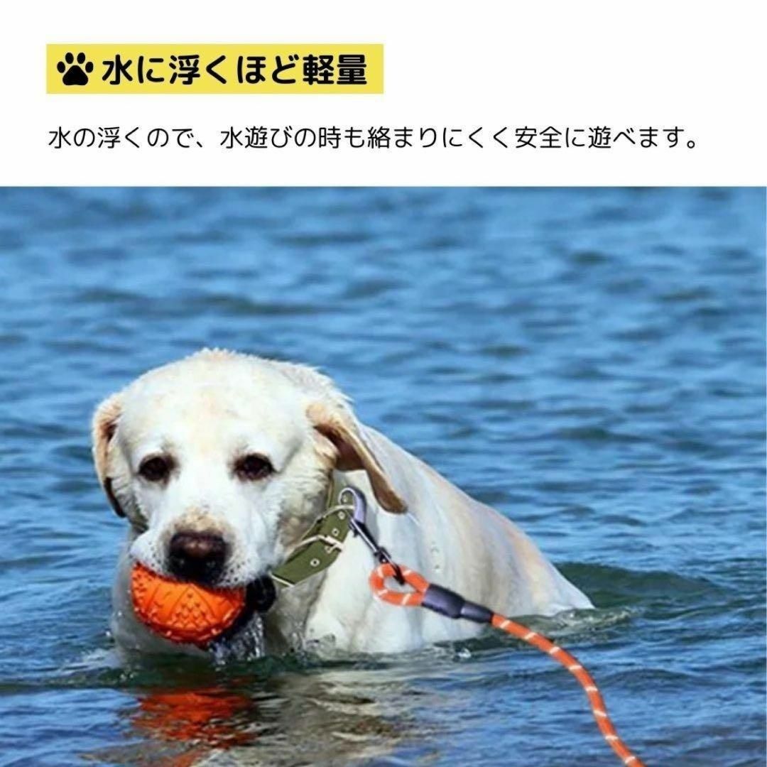 【SALE ロングリード★15m】犬 お散歩 ロープ 反射 キャンプ アウトドア その他のペット用品(犬)の商品写真