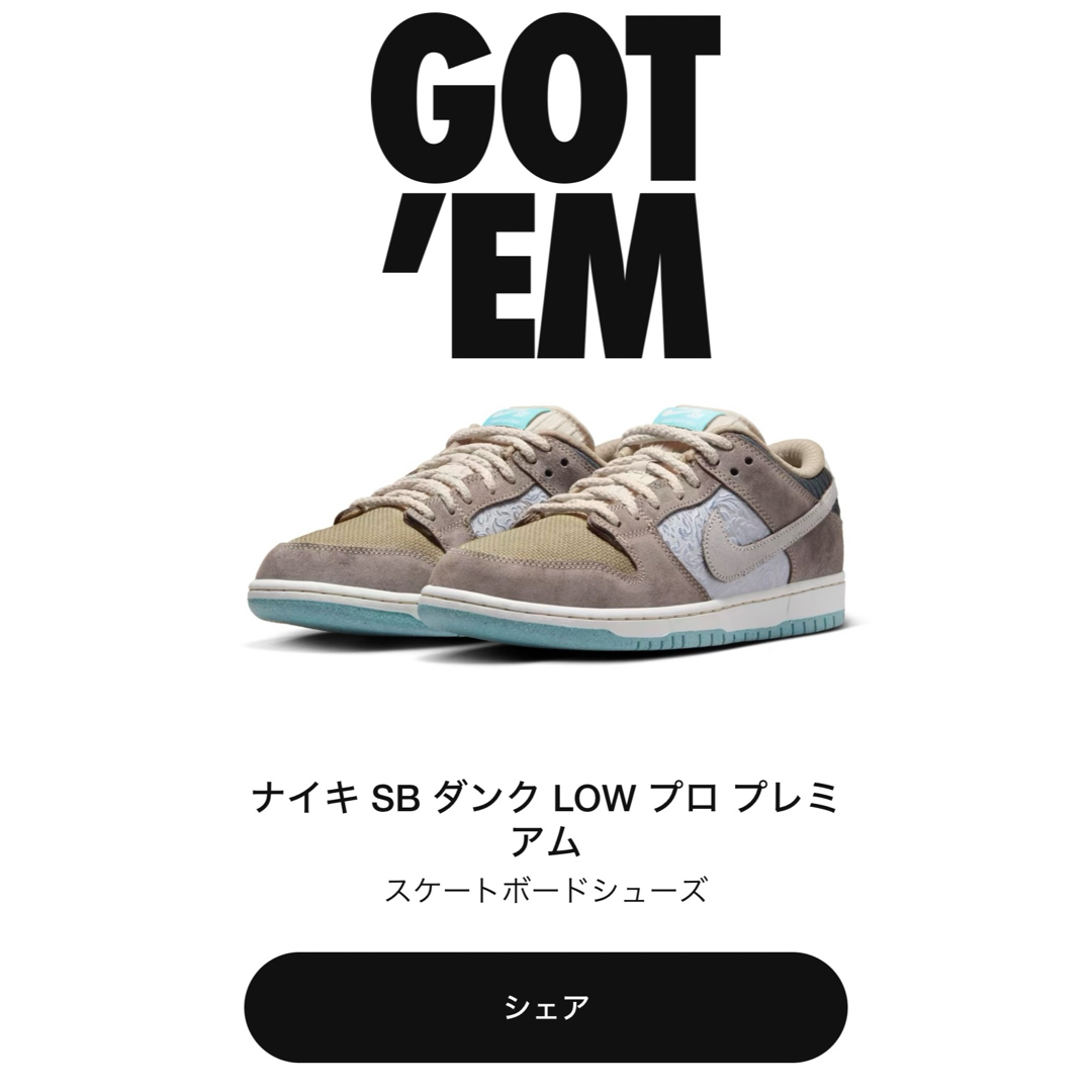 NIKE(ナイキ)のNike SB Dunk Low Pro Big Money Savings メンズの靴/シューズ(スニーカー)の商品写真