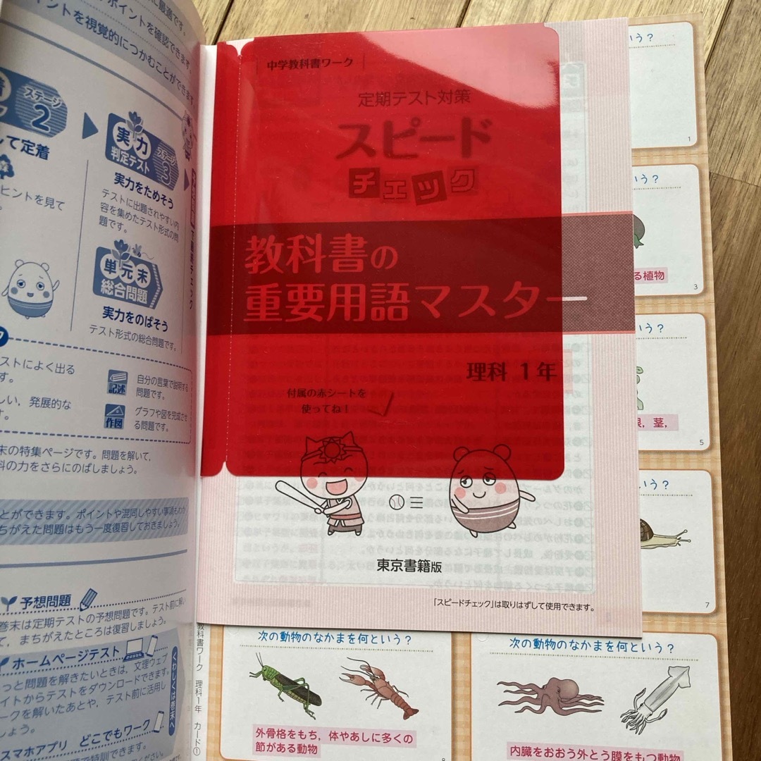 中学教科書ワーク東京書籍版理科１年 エンタメ/ホビーの本(語学/参考書)の商品写真