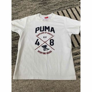 プーマ(PUMA)のPUMA Tシャツ(Tシャツ/カットソー)