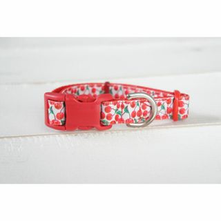 【SALE】 19-25.5cm小型犬★さくらんぼ★首輪(犬)