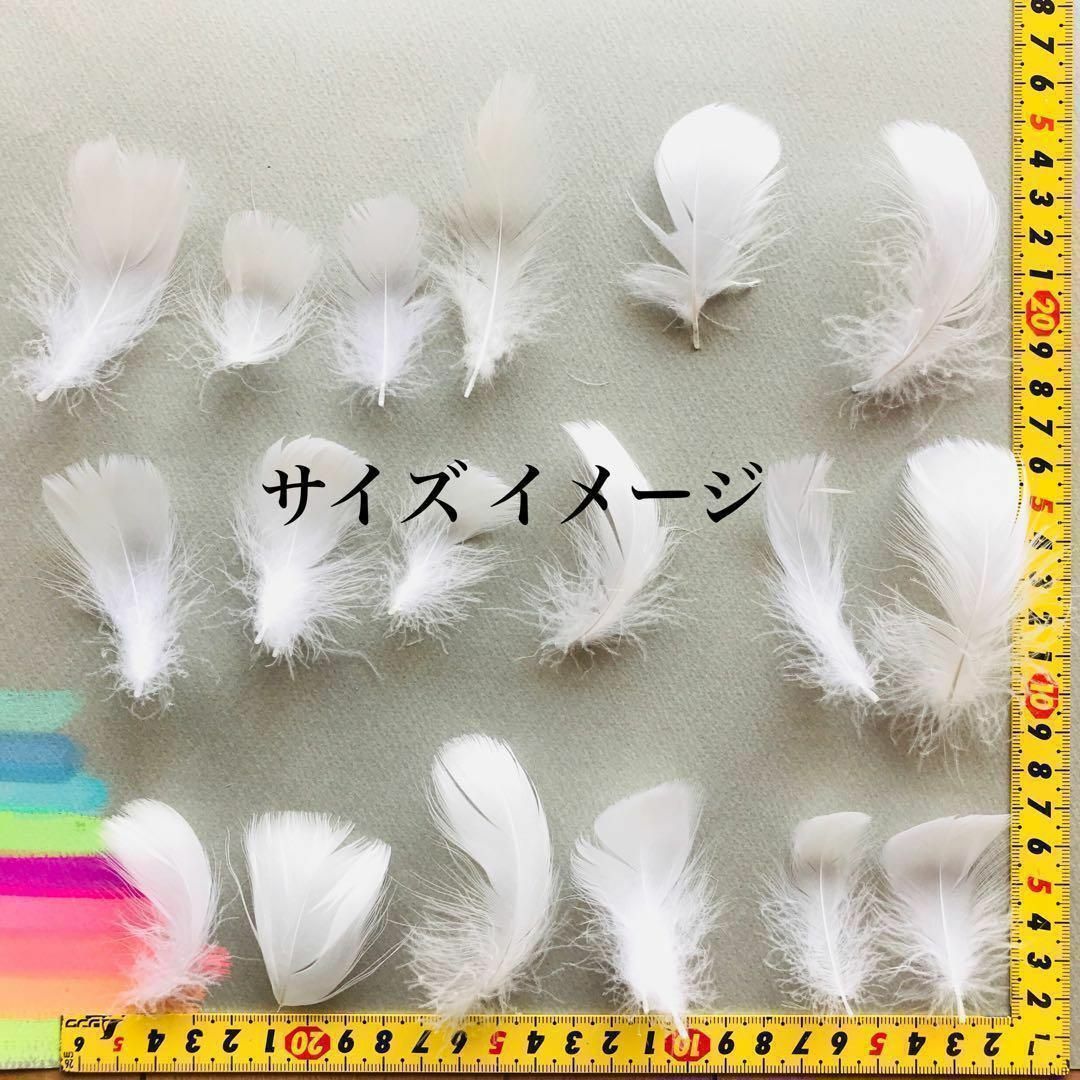 【FS26ミモザ】羽  フラワーシャワー コキール 結婚式 フラダンス 鳥の羽根 ハンドメイドの素材/材料(各種パーツ)の商品写真