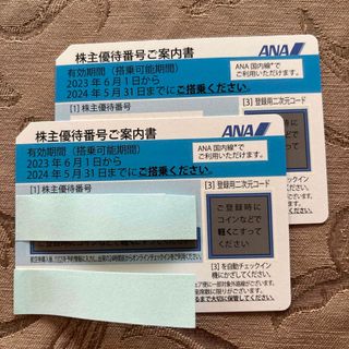 エーエヌエー(ゼンニッポンクウユ)(ANA(全日本空輸))のANA株主優待　2枚(航空券)