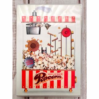 アラシ(嵐)の嵐 Popcorn/ポップコーン 通常盤 DVD2枚組 美品(アイドル)