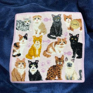 フェイラー(FEILER)の最終価格✨ 新品✨フェイラー　ハンカチ　猫　キャット　キャッツ(ハンカチ)