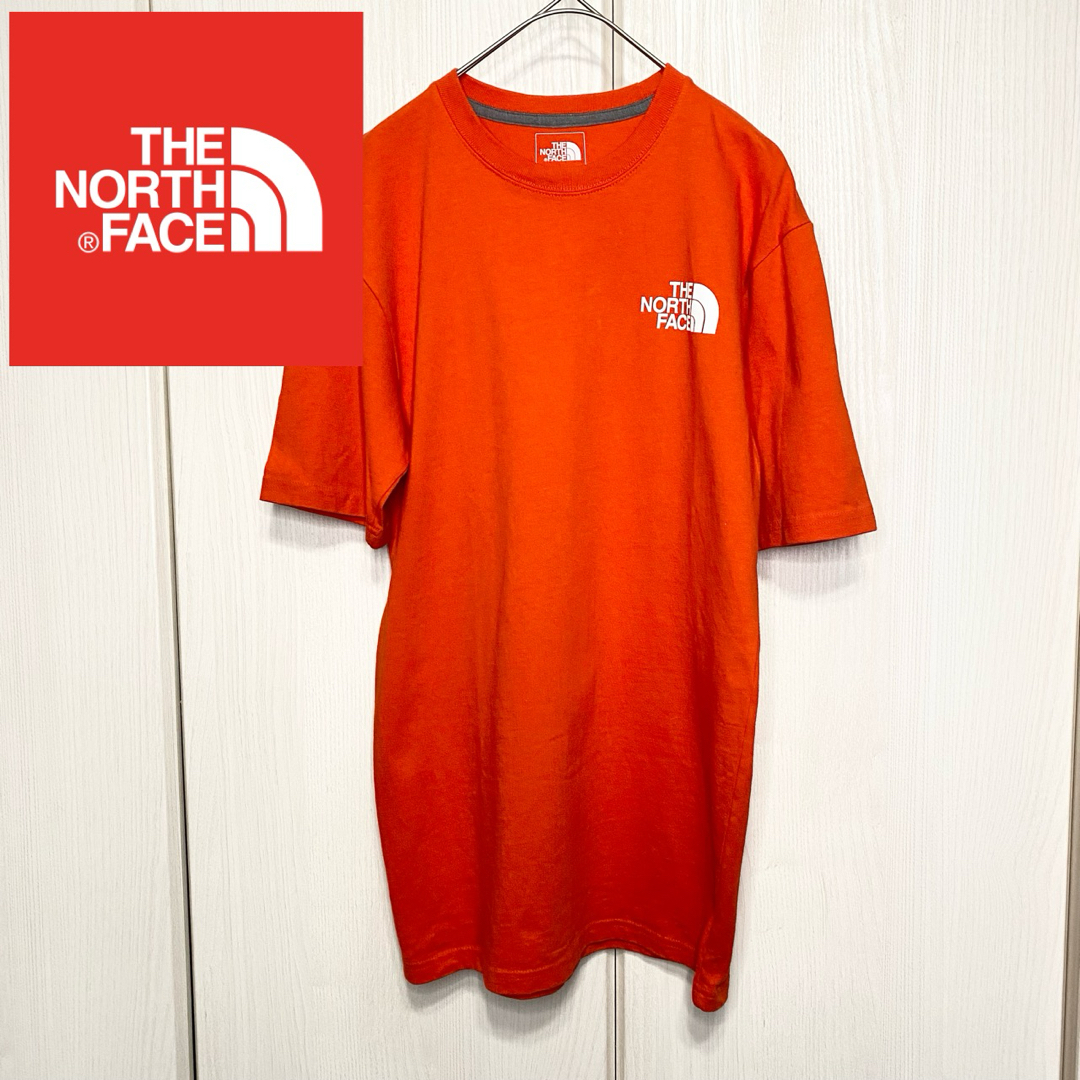 THE NORTH FACE(ザノースフェイス)の【美品】 The North Face ANTARCTICA Tee メンズのトップス(Tシャツ/カットソー(半袖/袖なし))の商品写真