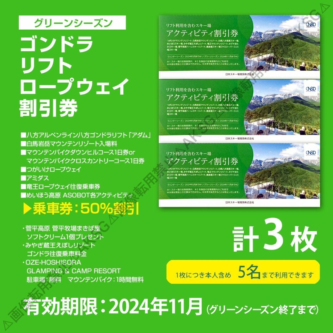 NSD スキー場リフト/ゴンドラ/アクティビティ割引券3枚 2024 チケットの施設利用券(スキー場)の商品写真