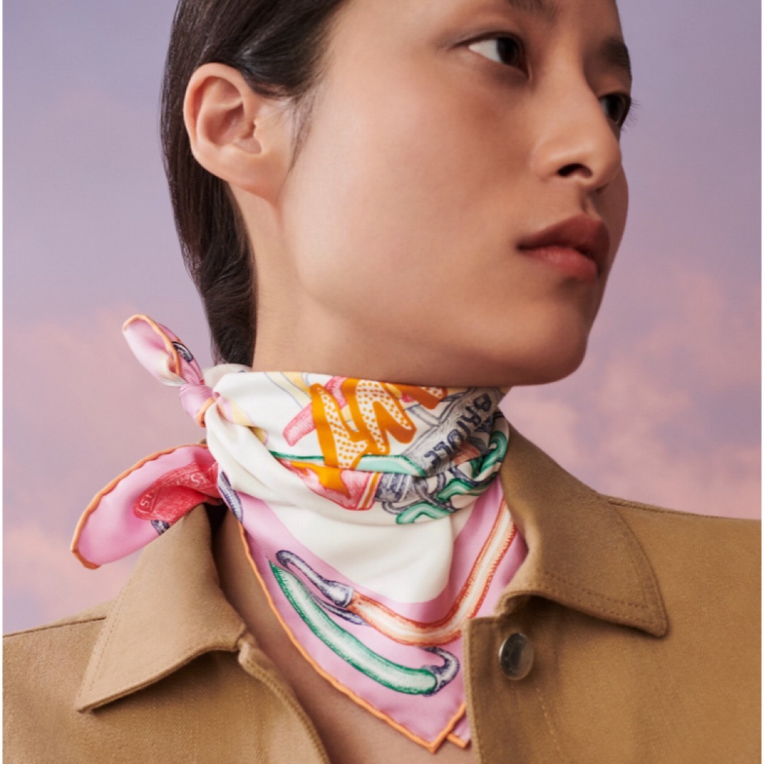 HERMES - エルメススカーフガヴロッシュ 45 《シュヴァ HERMES - エルメススカーフガヴロッシュ 45 《シュヴァ
