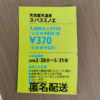 天然露天温泉　スパスミノエ　割引券(その他)