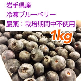 岩手県産 ブルーベリー 冷凍 1kg(フルーツ)