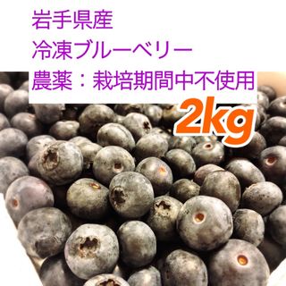 岩手県産　ブルーベリー　2kg(フルーツ)