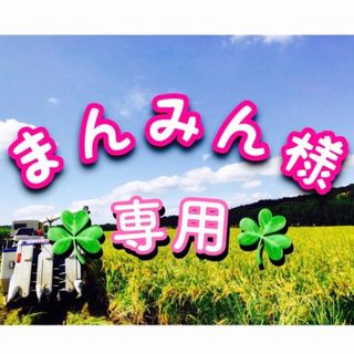 まんみん様✨専用 令和5年 兵庫県産ヒノヒカリ30kg送料･精米無料･時間指定🆗(米/穀物)