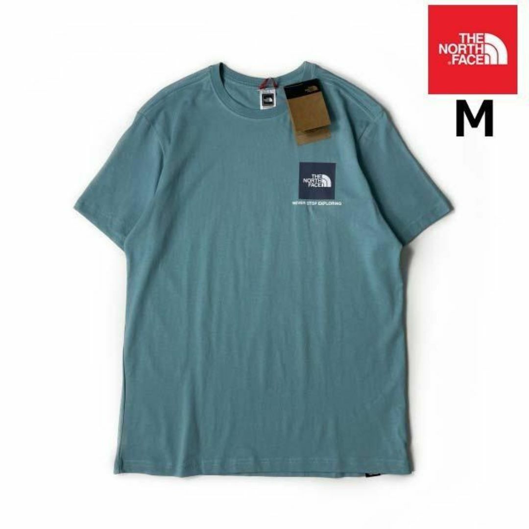 THE NORTH FACE(ザノースフェイス)のノースフェイス 半袖 Tシャツ US限定 水色 青 (M)180902 メンズのトップス(Tシャツ/カットソー(半袖/袖なし))の商品写真