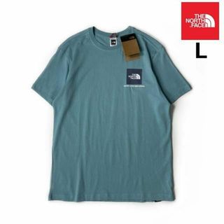 ザノースフェイス(THE NORTH FACE)のノースフェイス 半袖 Tシャツ US限定 水色 青 (L)180902(Tシャツ/カットソー(半袖/袖なし))