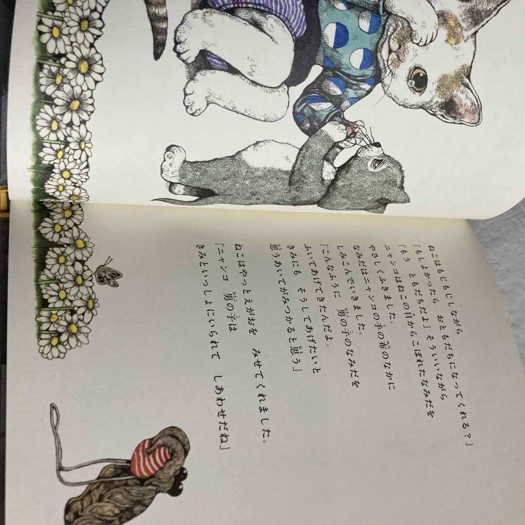 白泉社(ハクセンシャ)のせかいいちのねこ　ヒグチユウコ　白泉社　絵本　イラスト　児童書 エンタメ/ホビーの本(絵本/児童書)の商品写真