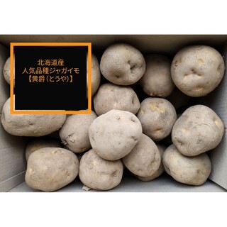 越冬ジャガイモ 北海道産 カレーや煮物に相性が良い人気品種ジャガイモ(野菜)