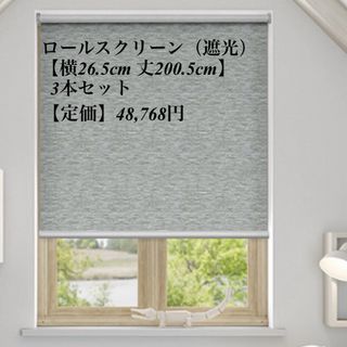 【Tuiss Decor】カレス＊遮光＊シルバー＊ロールスクリ ーン＊3つセット(ロールスクリーン)