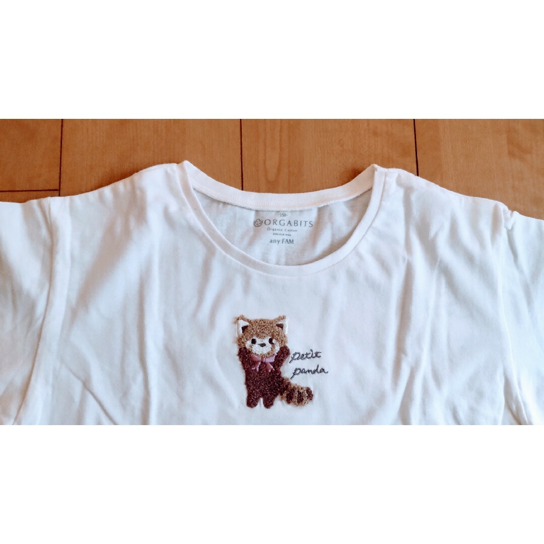 anyFAM(エニィファム)のエニィファム　白　Ｔシャツ　150cm 150　新品　未使用　女の子　半袖 キッズ/ベビー/マタニティのキッズ服女の子用(90cm~)(Tシャツ/カットソー)の商品写真