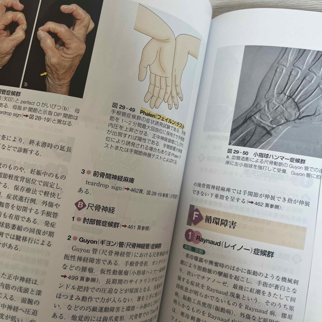 標準整形外科学 エンタメ/ホビーの本(健康/医学)の商品写真