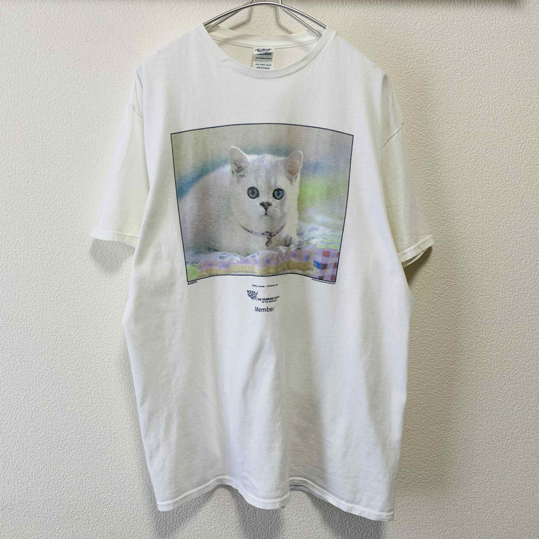 DELTA(デルタ)の一点物　00年代　猫　アニマル　動物　tee フォト メンズのトップス(Tシャツ/カットソー(半袖/袖なし))の商品写真