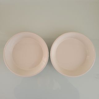 ルクルーゼ(LE CREUSET)のル・クルーゼ 皿 2枚セット(食器)