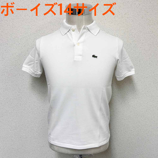 ラコステ(LACOSTE)の新品 LACOSTE ラコステ 半袖ポロシャツ ホワイト ボーイズ14サイズ(ポロシャツ)