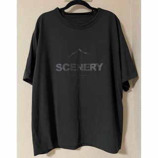 ジーユー(GU)の【GU】クイックドライビッグT 半袖 グラフィック L(Tシャツ/カットソー(半袖/袖なし))