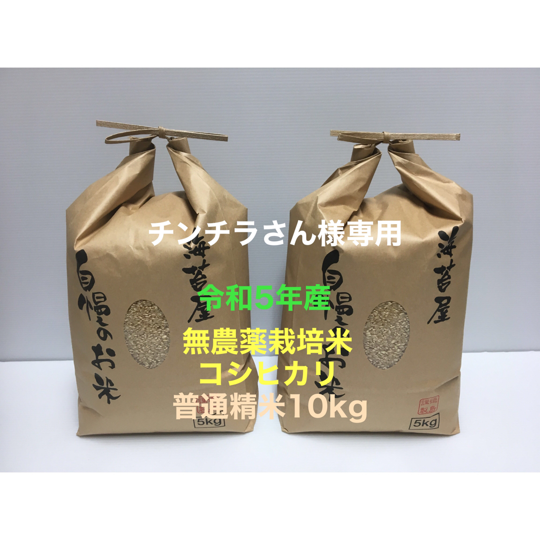 チンチラさん様専用 無農薬コシヒカリ普通精米10kg(5kg×2)令和5年産 食品/飲料/酒の食品(米/穀物)の商品写真