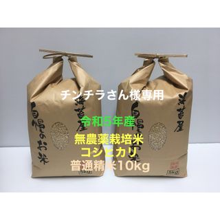 チンチラさん様専用 無農薬コシヒカリ普通精米10kg(5kg×2)令和5年産(米/穀物)