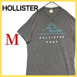 ホリスター(Hollister)のHOLLISTER ホリスター 半袖 Tシャツ 刺繍ロゴ surf サーフィン(Tシャツ/カットソー(半袖/袖なし))