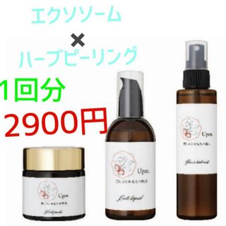 Aesop - Upm フラワーハーブピーリング一回分エクソソームセット　