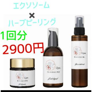 イソップ(Aesop)のUpm フラワーハーブピーリング一回分エクソソームセット　(ゴマージュ/ピーリング)