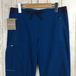 MENs 29 パタゴニア テラヴィア ライト アルパイン パンツ Terravia Light Alpine Pants （アルトヴィア ライト アルパイン パンツ Altvia Light Alpine Pants） ソフトシェル ストレッチ PATAGONIA 83120 LMBE Lagom Blue ブルー系