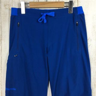 パタゴニア(patagonia)のMENs 30 パタゴニア テラヴィア ライト アルパイン パンツ Terravia Light Alpine Pants （アルトヴィア ライト アルパイン パンツ Altvia Light Alpine Pants） ソフトシェル ストレッチ PATAGONIA 83120 SPRB Superior Blue ブルー系(その他)