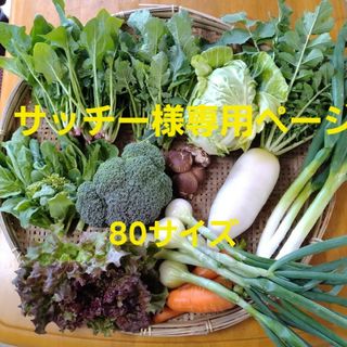 サッチー様専用ページです(野菜)