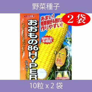 野菜種子 ECP おおもの86HYPER 10粒 x 2袋(野菜)