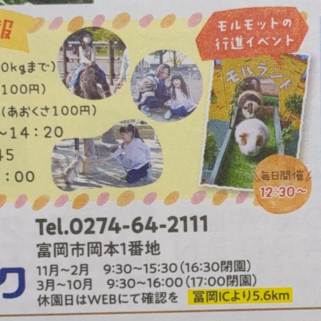 サファリパーク　子ども無料　入場料無料　群馬サファリパーク　動物園　招待券　富岡 チケットの施設利用券(動物園)の商品写真