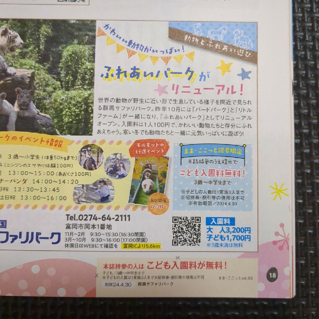 サファリパーク　子ども無料　入場料無料　群馬サファリパーク　動物園　招待券　富岡 チケットの施設利用券(動物園)の商品写真