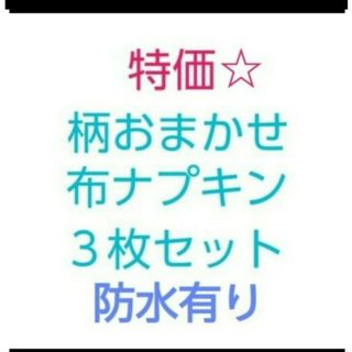 柄おまかせ　布ナプキン　３枚セット　防水有り(その他)