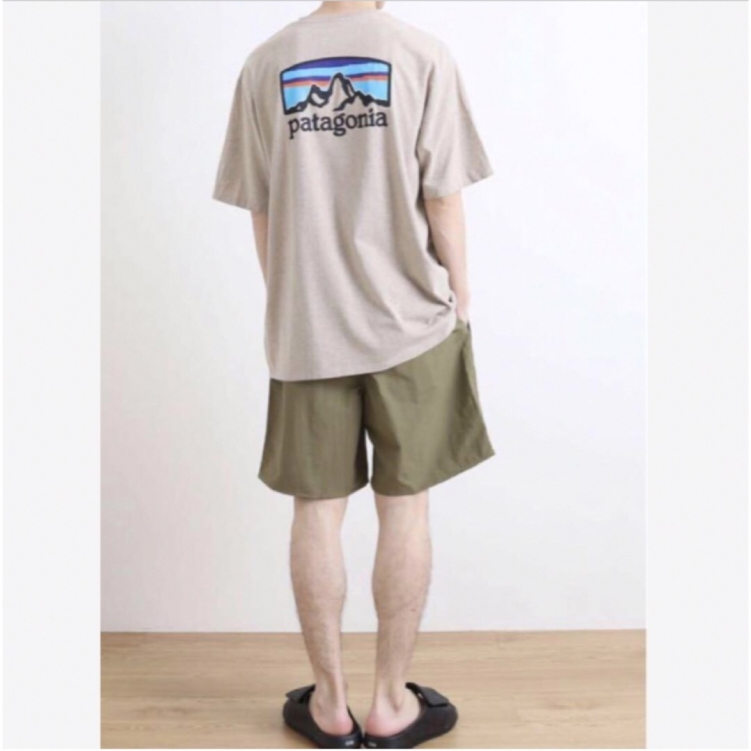 patagonia(パタゴニア)の新品‼️patagonia フィッツロイホライゾンズレスポンシビリティー メンズのトップス(Tシャツ/カットソー(半袖/袖なし))の商品写真