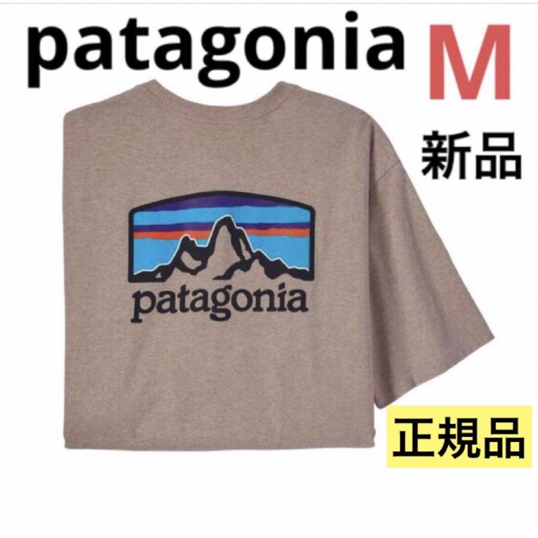 patagonia(パタゴニア)の新品‼️patagonia フィッツロイホライゾンズレスポンシビリティー メンズのトップス(Tシャツ/カットソー(半袖/袖なし))の商品写真