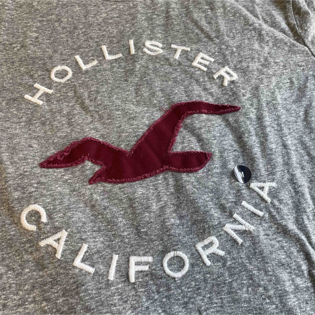 Hollister(ホリスター)の【HOLLISTER ホリスター】タグ付き新品・ハワイ購入 Tシャツ グレー M レディースのトップス(Tシャツ(半袖/袖なし))の商品写真