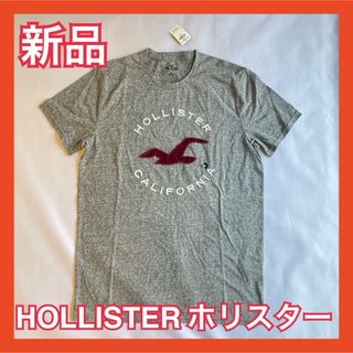 ホリスター(Hollister)の【HOLLISTER ホリスター】タグ付き新品・ハワイ購入 Tシャツ グレー M(Tシャツ(半袖/袖なし))